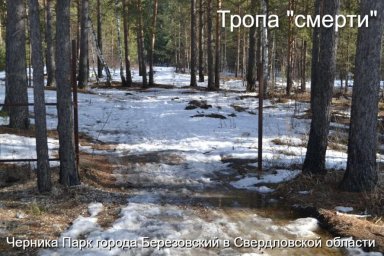 Черника Парк эпицентр наркокатастрофы в Березовском области