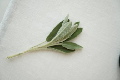 Ресторан Sage на 1-й Тверской-Ямской улице: скандинавский стиль и кухня